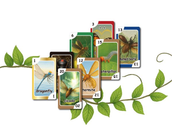 Bug Battle Cards